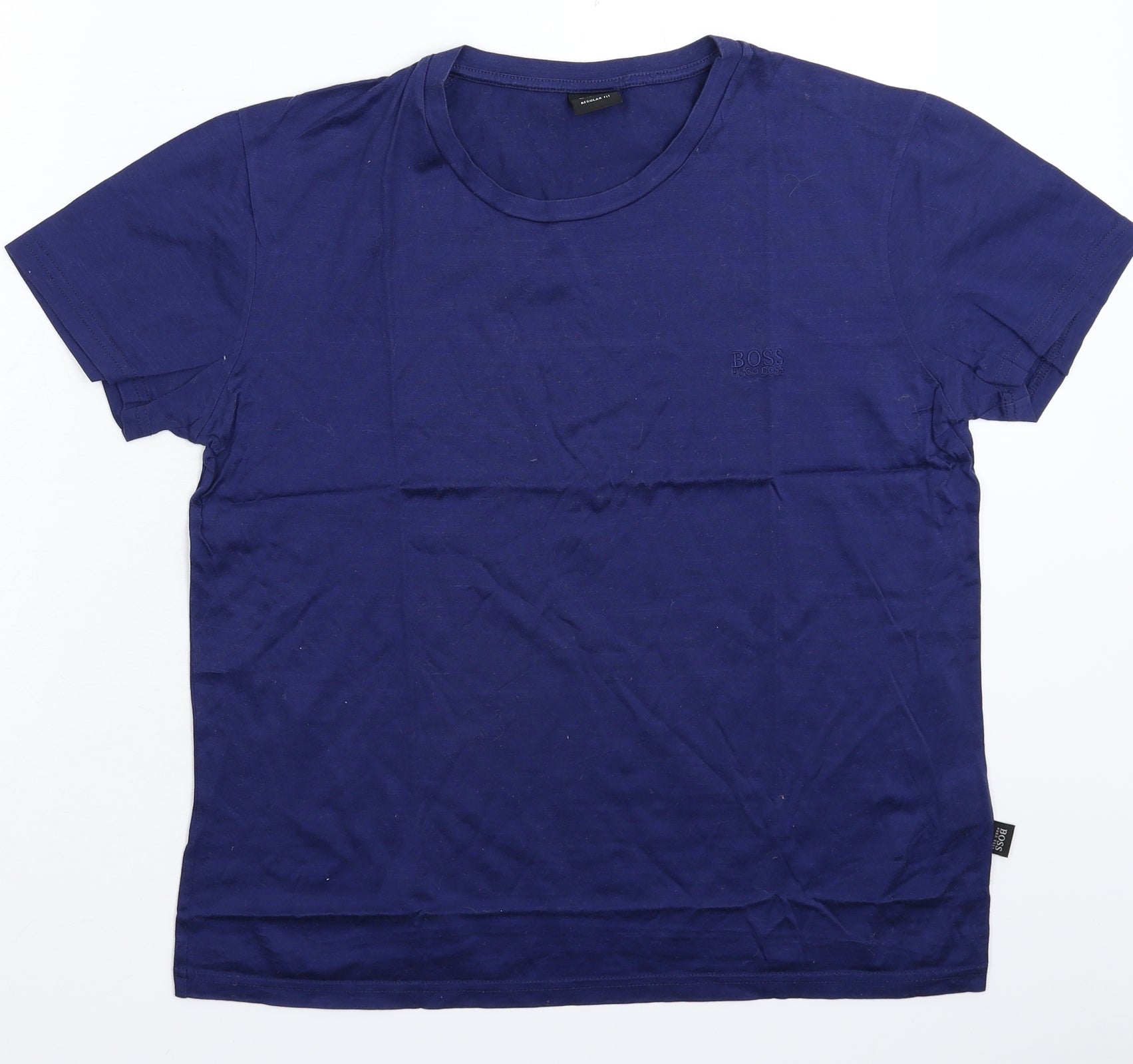 Hollister Boys Blue Cotton Basic T-Shirt Size 15 Years Round Neck – Preworn  Ltd