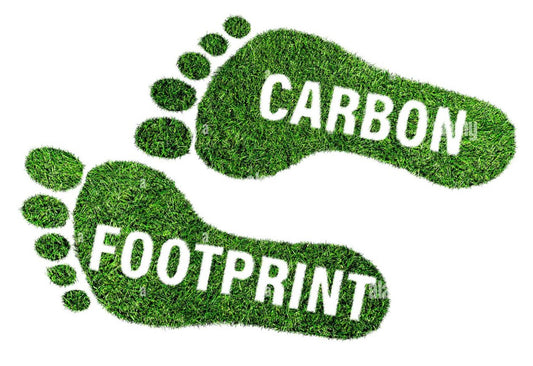 What Is A Carbon Footprint?