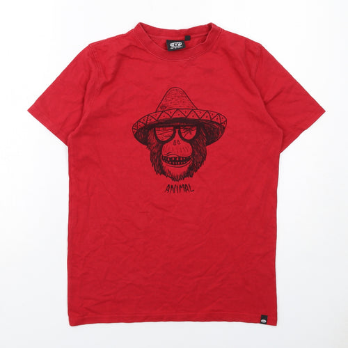 Animal Boys Red Cotton Basic T-Shirt Size 11-12 Years Round Neck Pullover - Monkey
