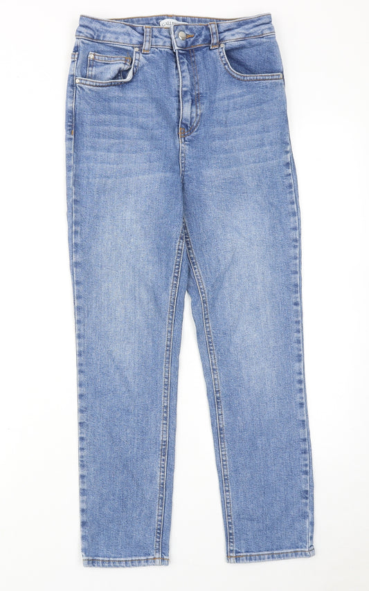 Gallery Womens Blue Cotton Straight Jeans Size 8 Regular Zip