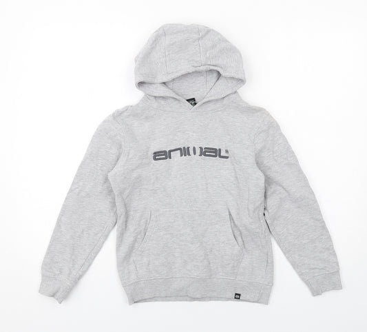 Animal Boys Grey Cotton Pullover Hoodie Size 9-10 Years Pullover