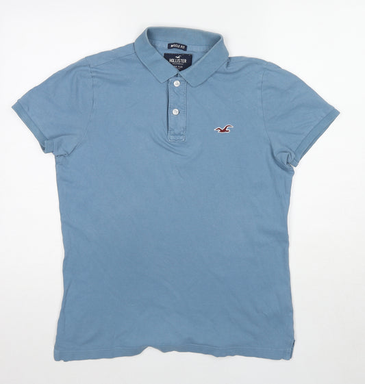 Hollister Mens Blue Cotton Polo Size M Collared Pullover