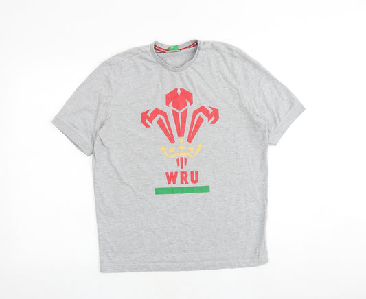 Wales Rugby Boys Grey 100% Cotton Basic T-Shirt Size S Round Neck Pullover