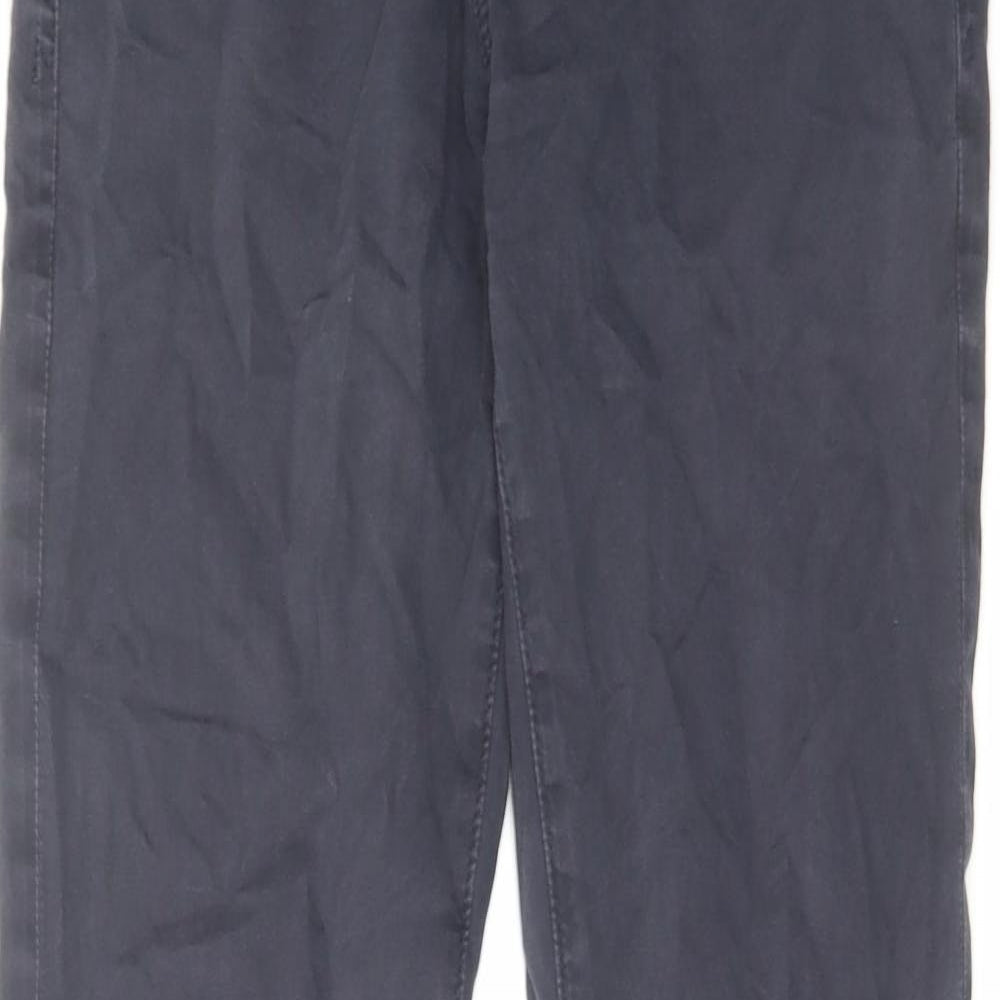 Adrianna Goldschmied Mens Blue Cotton Skinny Jeans Size 30 in L32 in Regular Zip