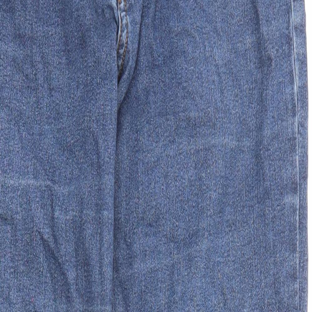 H&M Womens Blue Cotton Skinny Jeans Size 27 in L27 in Regular Zip