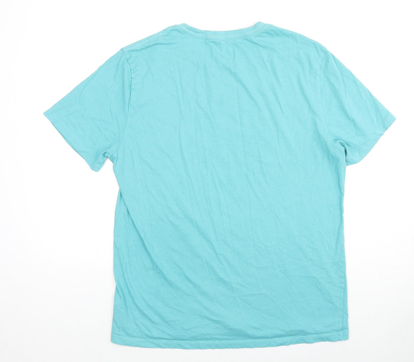 Gap Mens Blue Cotton T-Shirt Size L Crew Neck Pullover