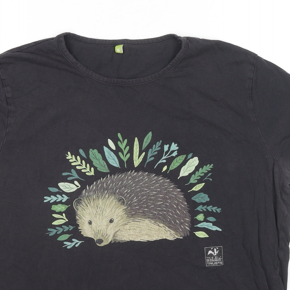 Wildlife Trust Womens Black Cotton Basic T-Shirt Size 16 Round Neck - Hedgehog