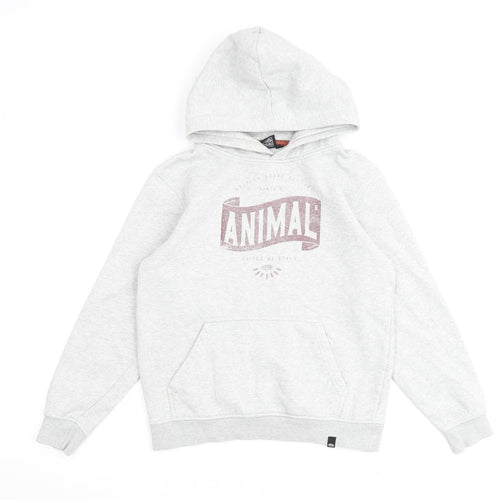 Animal Boys Grey Cotton Pullover Hoodie Size 11-12 Years Pullover