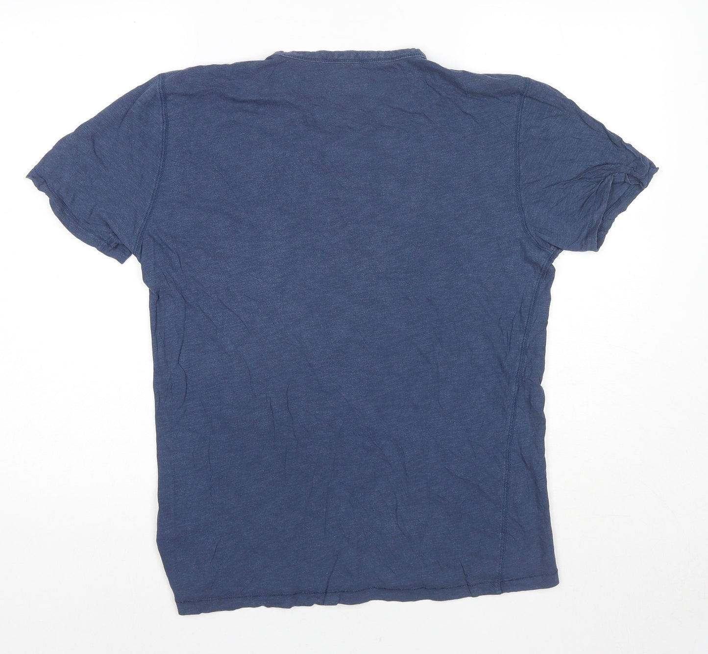 Everlane Mens Blue Cotton T-Shirt Size M Round Neck