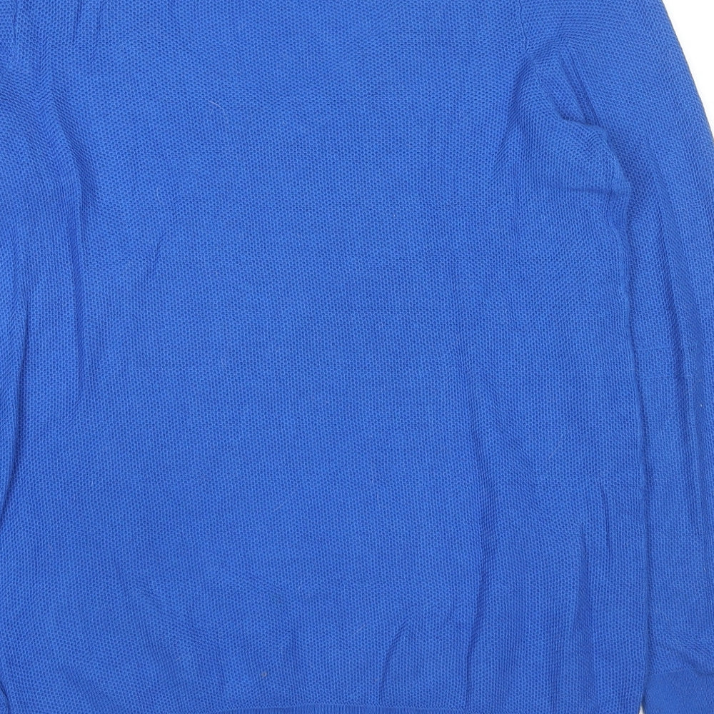 Gap Mens Blue V-Neck Cotton Pullover Jumper Size M Long Sleeve