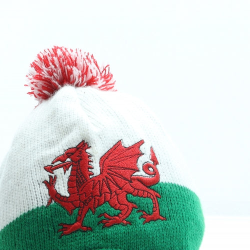 Pendragon Boys Green Colourblock Acrylic Bonnet One Size - Wales Dragon