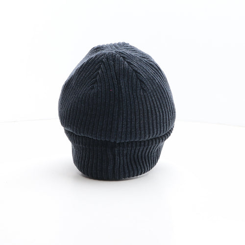 Thinsulate Mens Blue Acrylic Beanie One Size