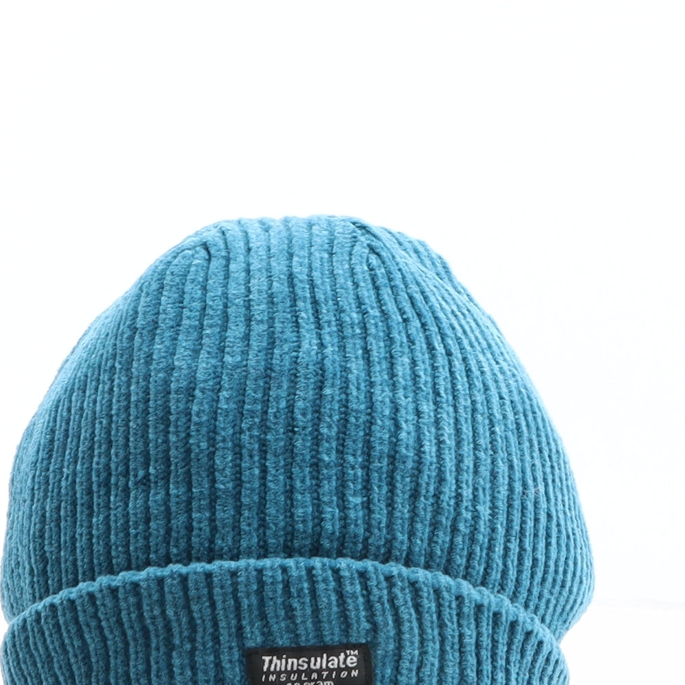 Thinsulate Mens Blue Acrylic Beanie One Size
