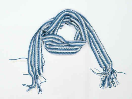 Preworn Mens Blue Striped Knit Rectangle Scarf Scarf Size Regular