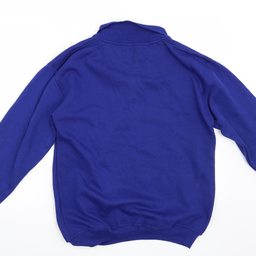 Icecube Mens Blue   Pullover Sweatshirt Size S