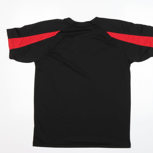 Awdis Mens Black  Polyester Basic T-Shirt Size M Round Neck  - Dragons