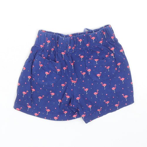 The Kids Division Girls Blue Geometric Cotton Sweat Shorts Size 2-3 Years L3 in Regular Drawstring - Flamingo