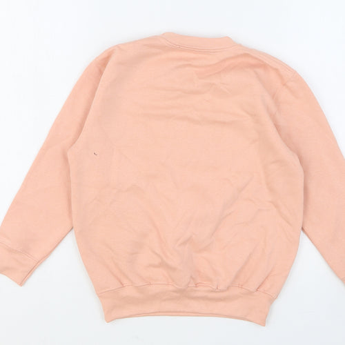 Preworn Girls Pink Cotton Pullover Sweatshirt Size 5-6 Years Pullover