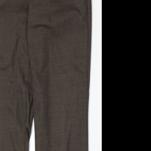 Steilmann Womens Brown Polyester Trousers Size 16 Regular Zip