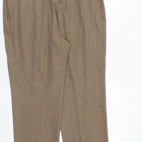 Marks and Spencer Womens Brown Polyester Trousers Size 16 Regular Zip