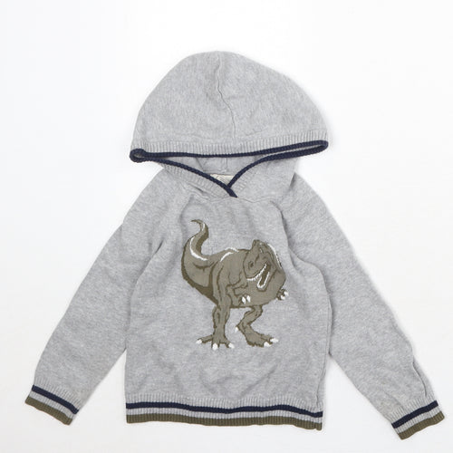 Rorie Whelan Boys Grey 100% Cotton Pullover Hoodie Size 3 Years Pullover - Dinosaur Print