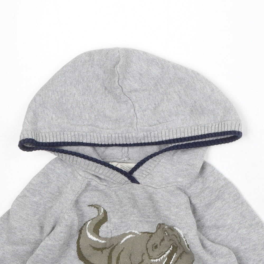 Rorie Whelan Boys Grey 100% Cotton Pullover Hoodie Size 3 Years Pullover - Dinosaur Print